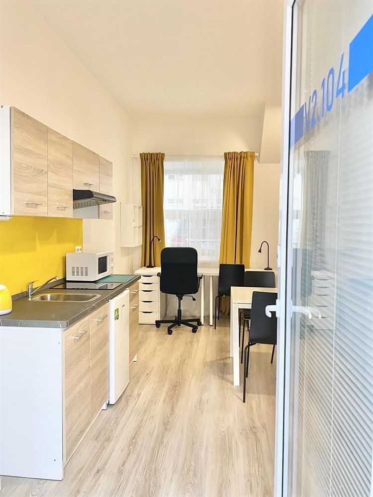 1+kk, Brno - Staré Brno, okres Brno-město, Jihomoravský kraj, 25 m² - 2