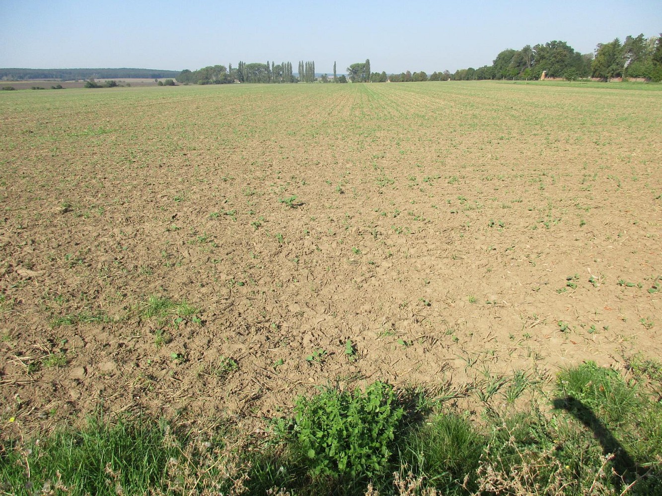 Prodej zemědělský pozemek - Obecnice, okres Příbram - 5