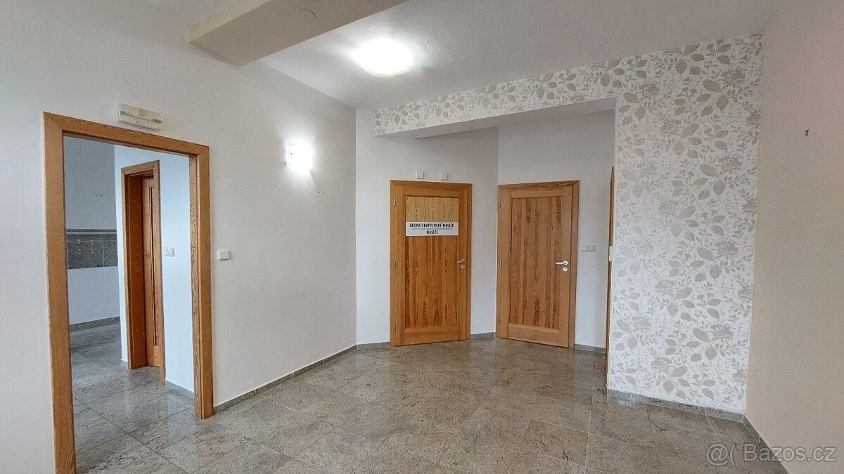 Pronájem obchodní prostory - Lipno nad Vltavou, 382 78