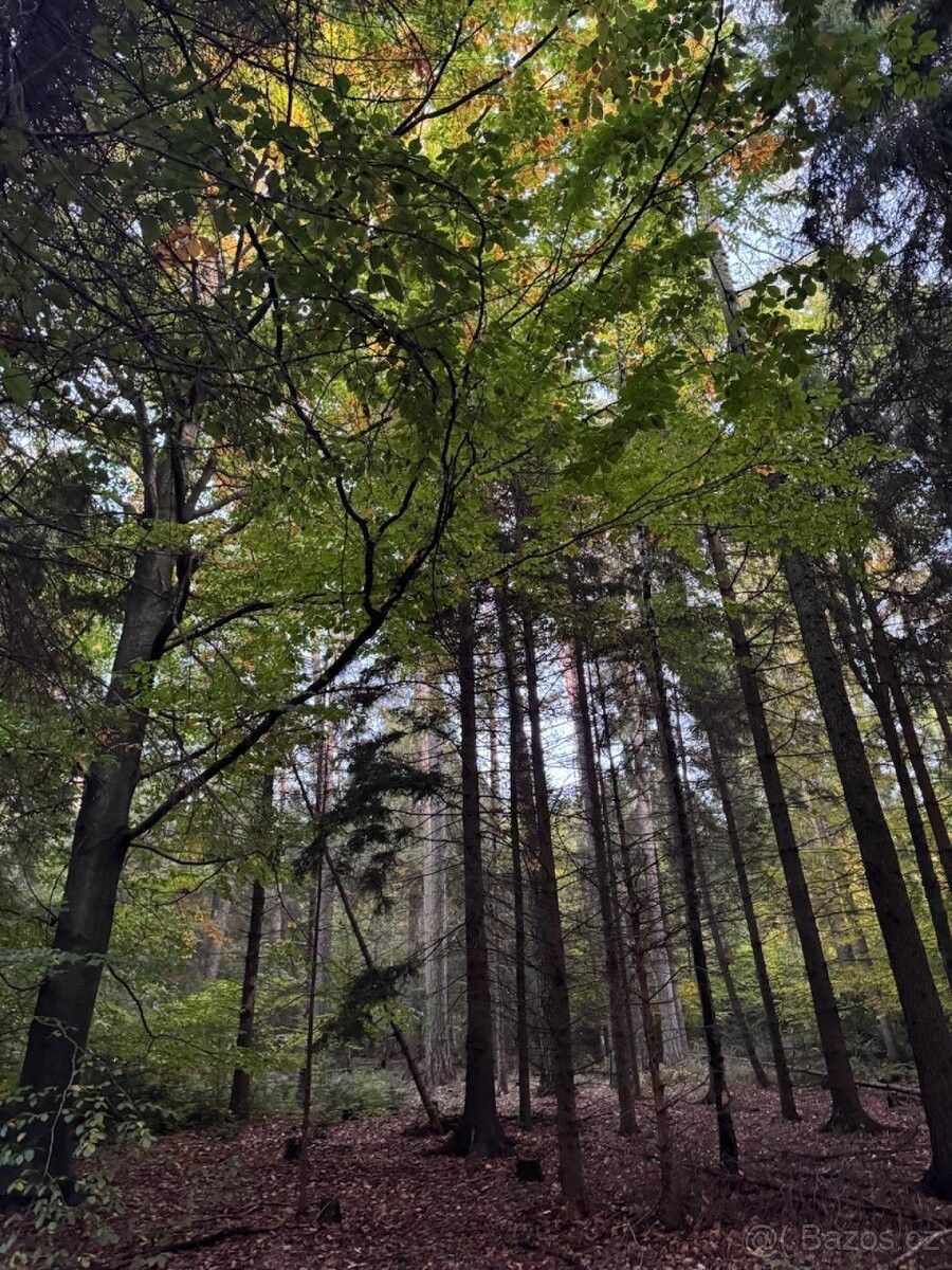 Prodej pozemek pro bydlení - Velká Polom, 747 64