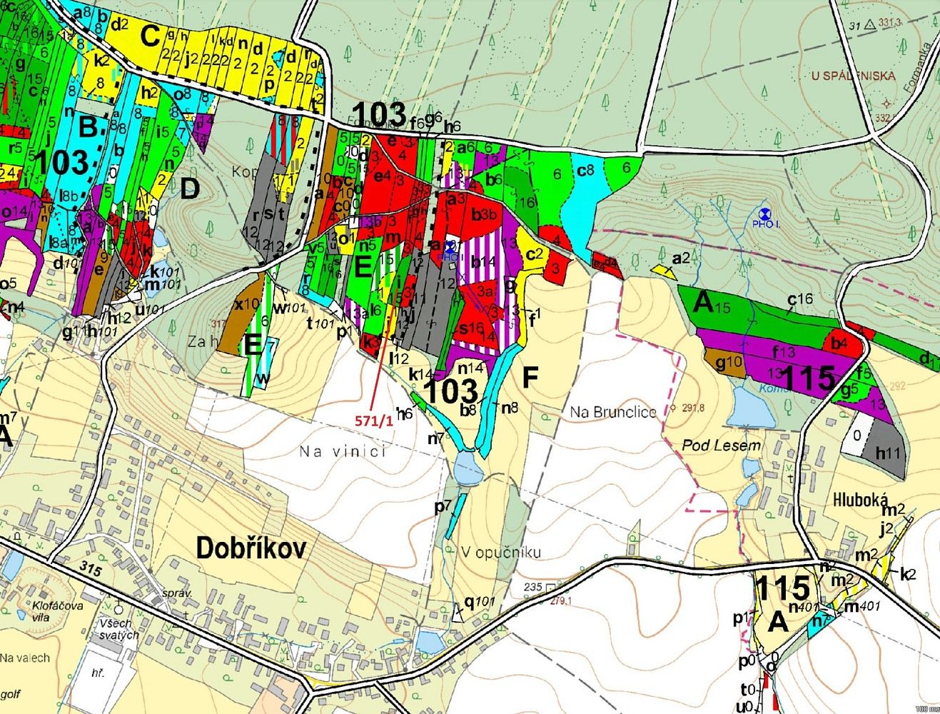 Les · Dobříkov, okres Ústí nad Orlicí, Pardubický kraj - 3
