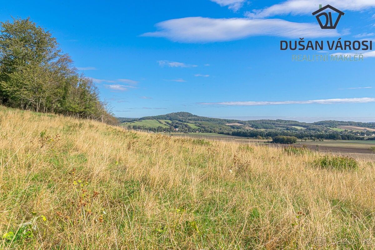 Prodej pozemek pro bydlení - Město Albrechtice, 793 95