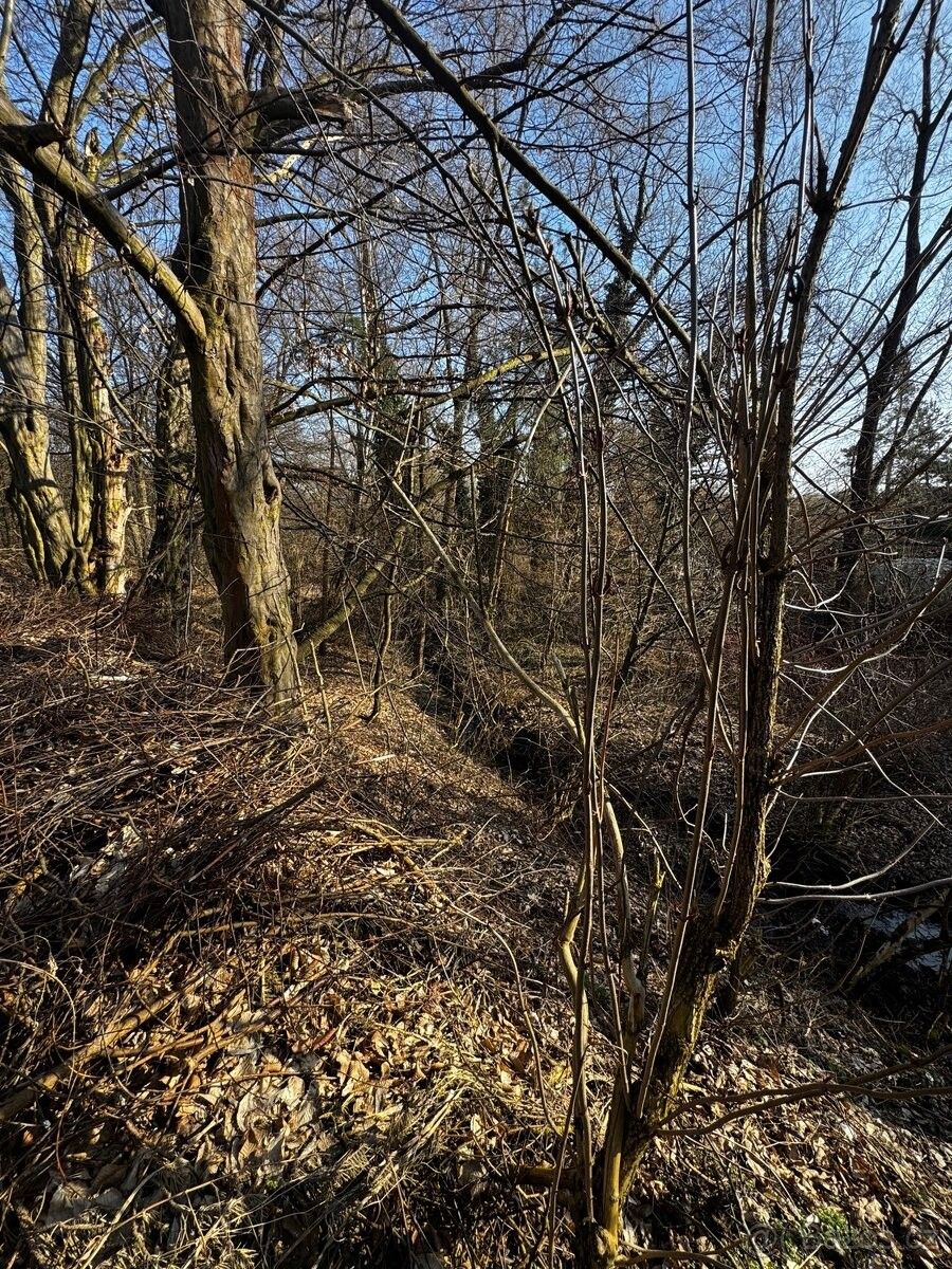 Prodej pozemek pro bydlení - Příbram, 261 01