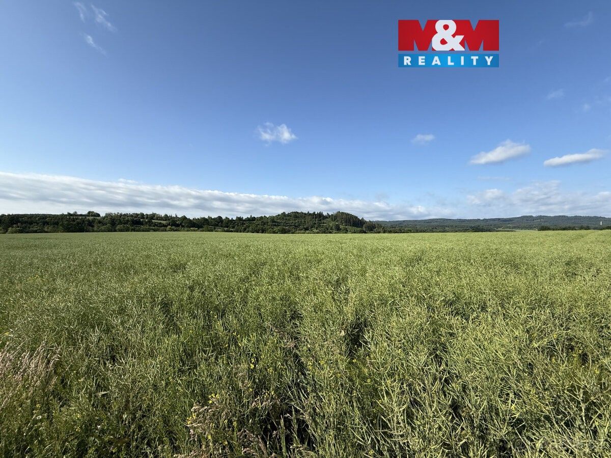 Pozemky pro bydlení, Rožmitál pod Třemšínem, 262 42