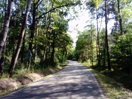 Chalupa · 150 m² · Blatná - 3