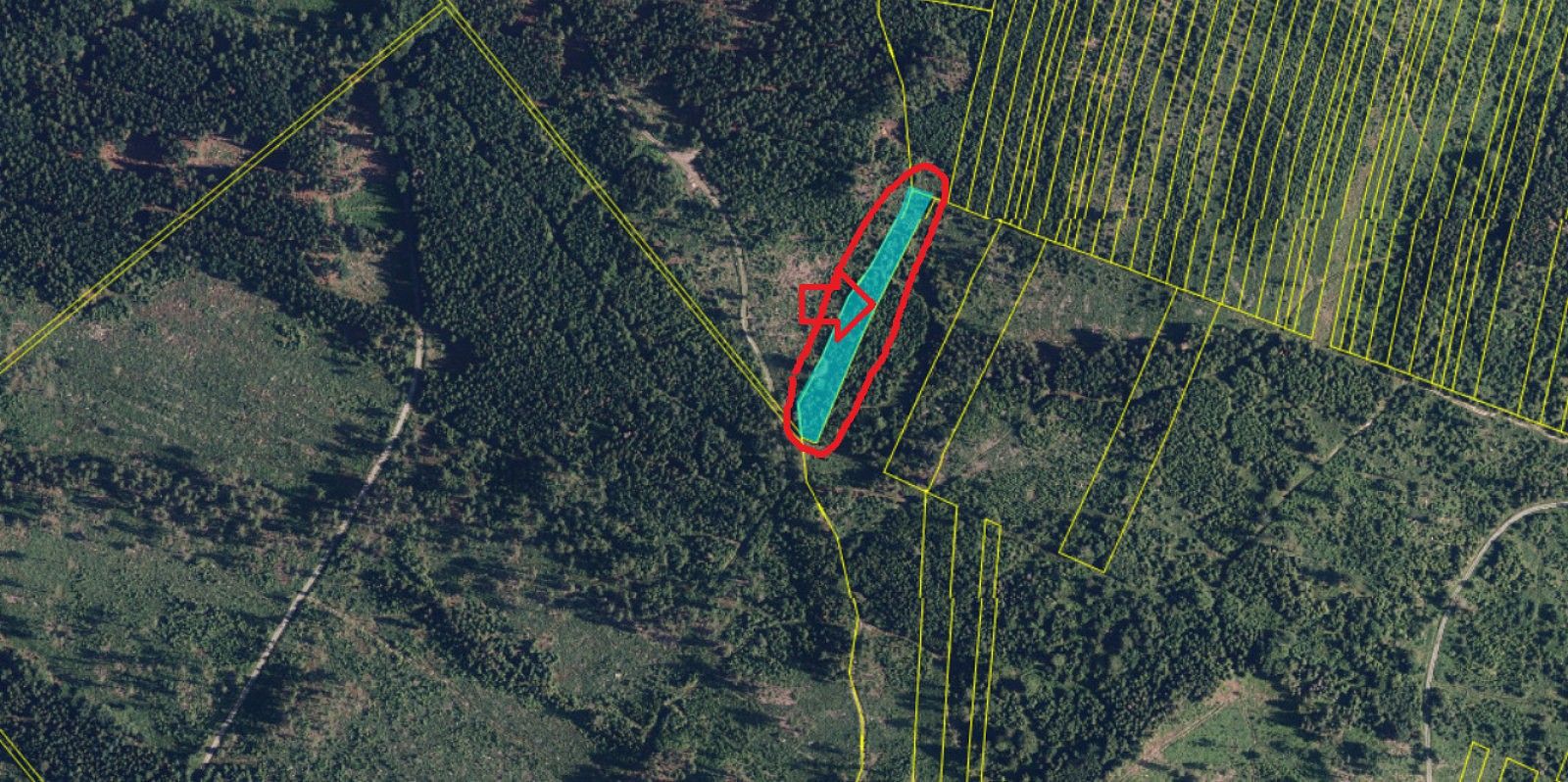 Lesy, Nýřany, okres Plzeň-sever, Plzeňský kraj - 2