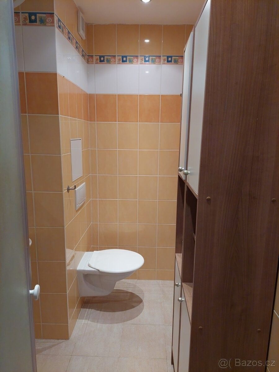 Pronájem byt 1+kk - Josefy Kolářové, České Budějovice 2, 26 m² - 5