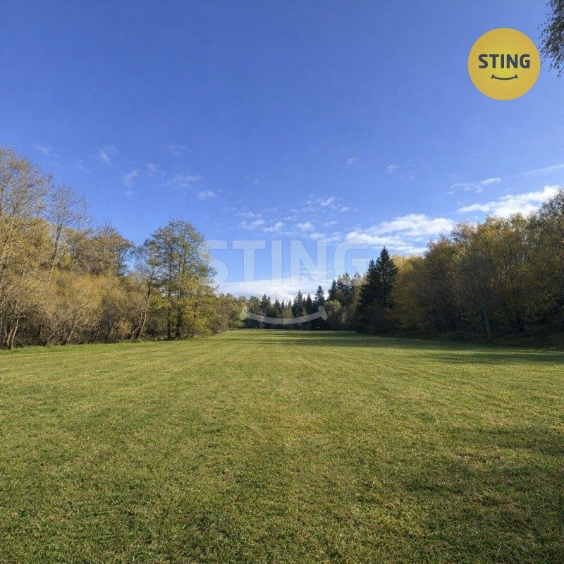 Pozemky pro bydlení, Horní Planá, 382 26