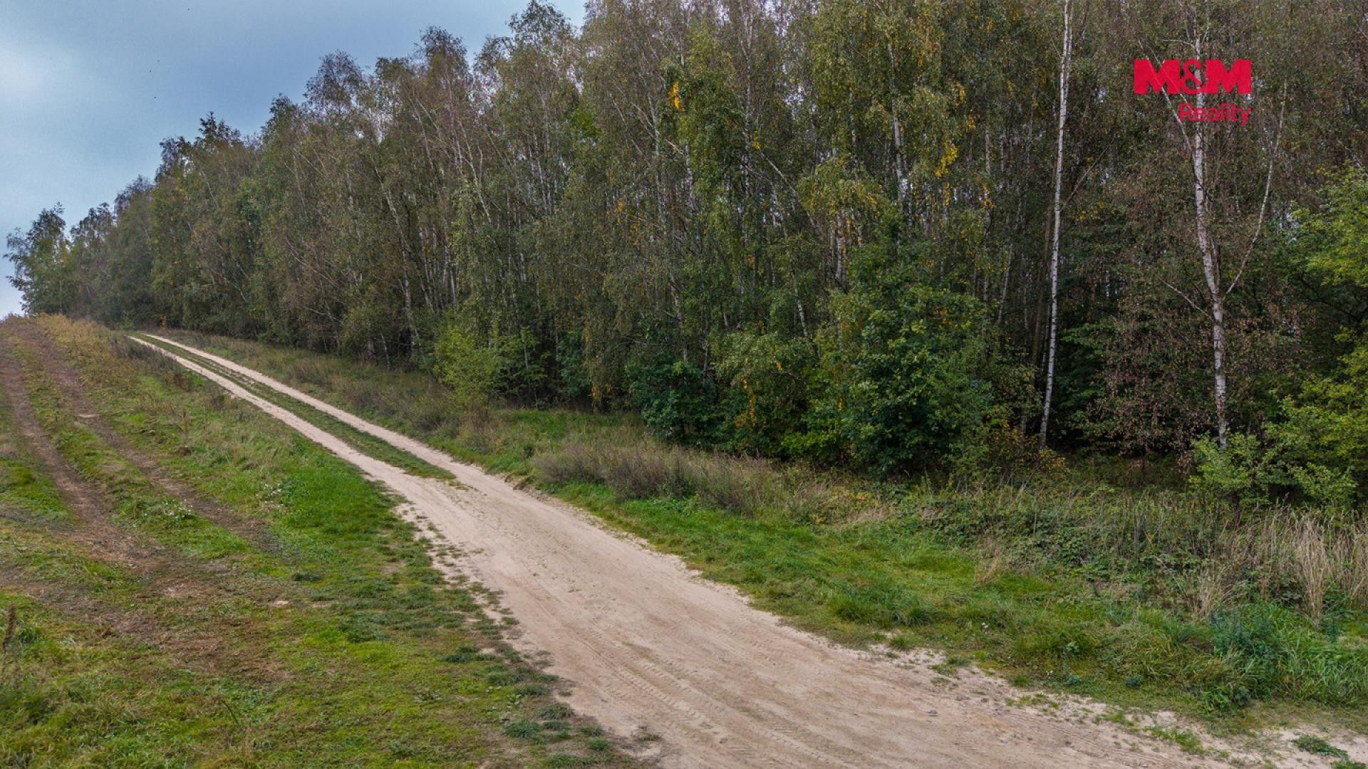 Prodej zemědělský pozemek - Blíževedly - 2