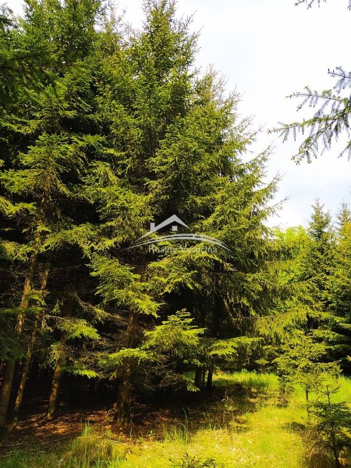 Prodej les - Nerudova, Žirovnice, 8 890 m² - 2