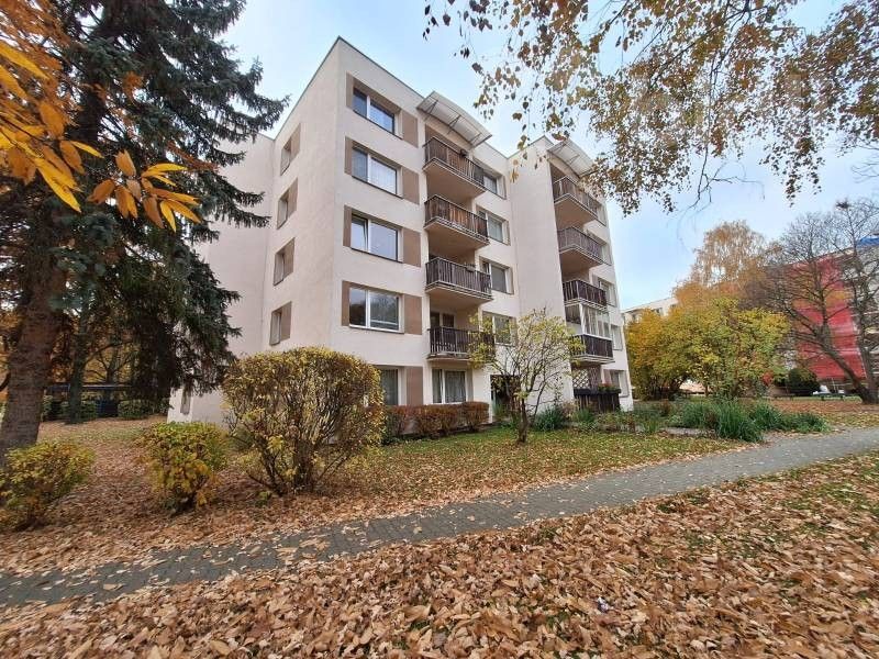 Pronájem byt 3+1 - Plzeňská, České Budějovice, 70 m²