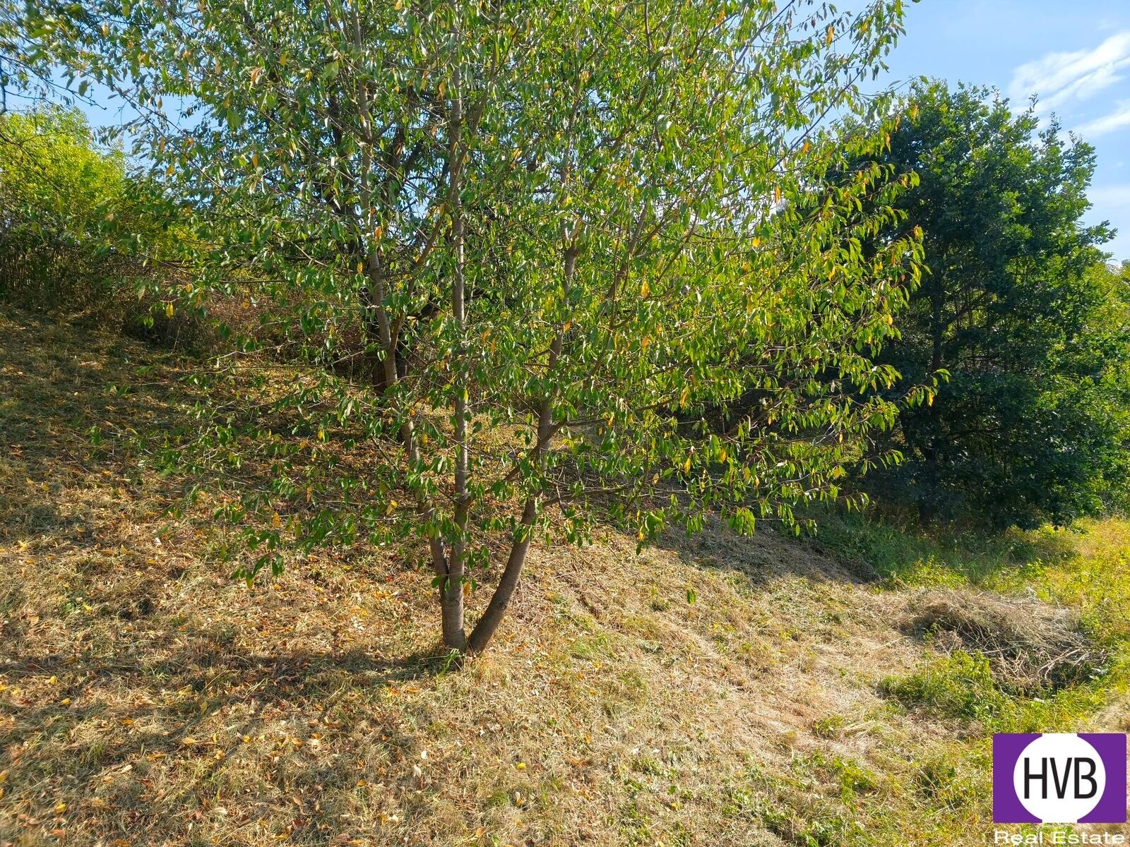 Ostatní, Synkov-Slemeno, 1 229 m² - 2