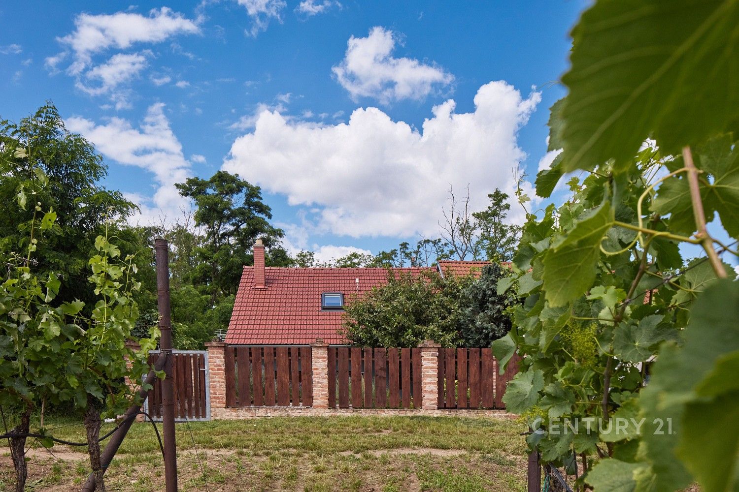 Rodinný dům · 75 m² · Drnholec, okres Břeclav - 3
