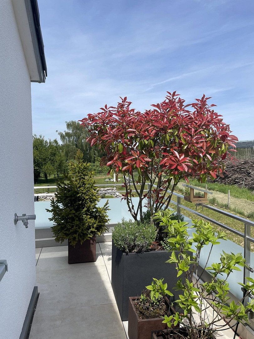 Prodej byt 3+1 - , Bádensko-Württembersko, 107 m² - 5