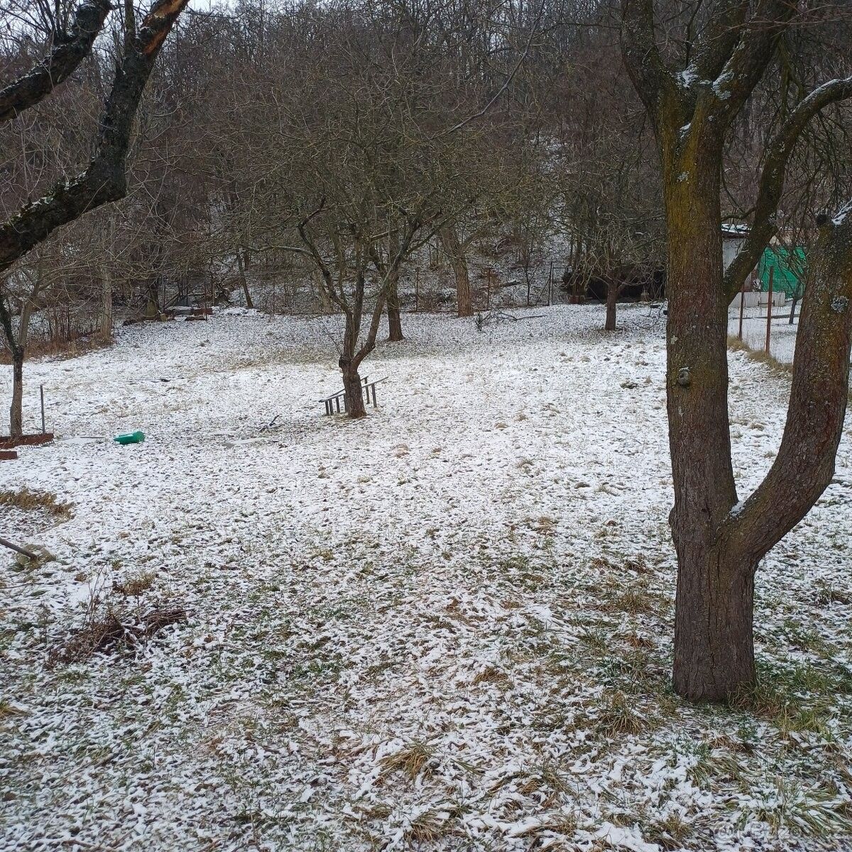 Zahrady, Brno, 642 00