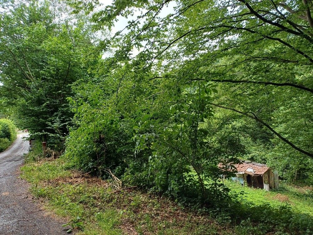 Prodej pozemek pro bydlení - Zábřeh, 789 01 - 2