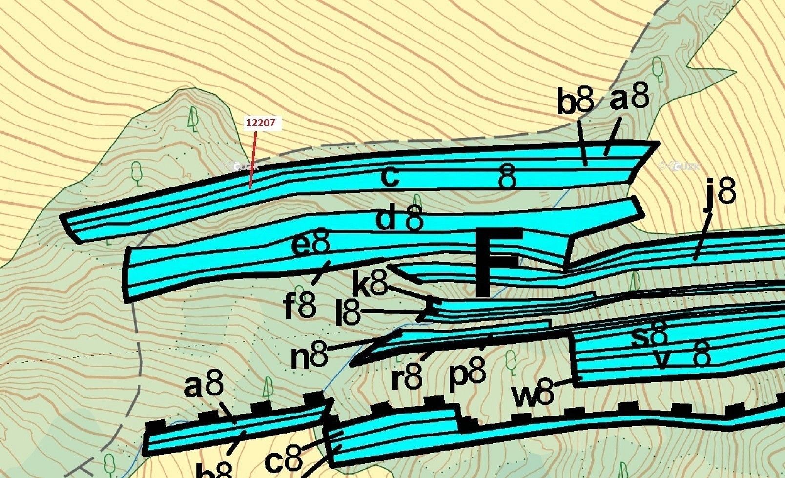 Les · Strání, okres Uherské Hradiště, Zlínský kraj - 3