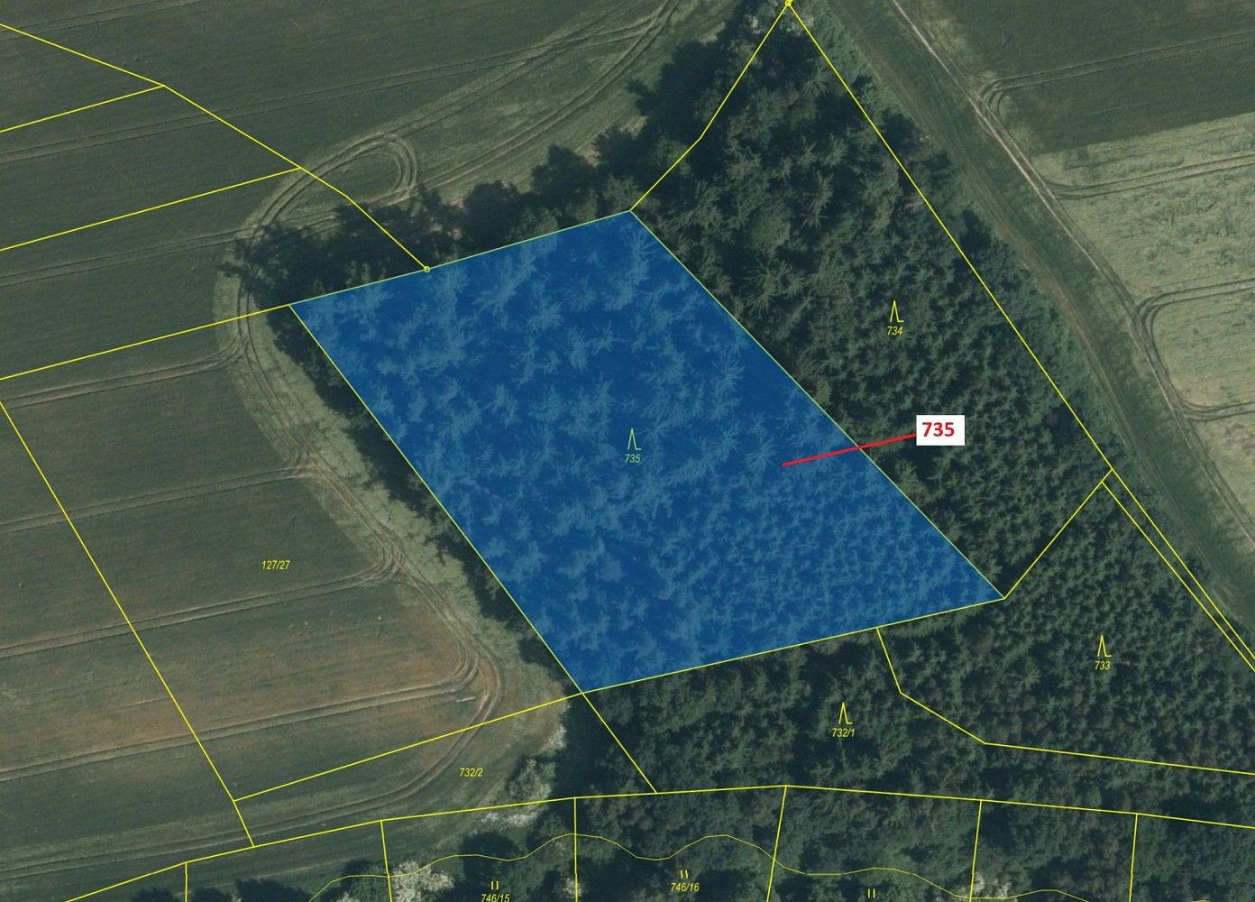 Les · Zvěstov, okres Benešov, Středočeský kraj - 2