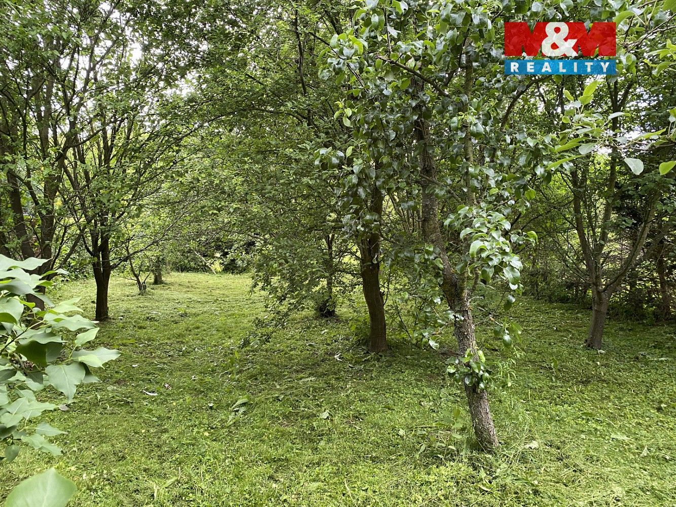 Zahrada · Světlá Hora, okres Bruntál, Moravskoslezský kraj - 3