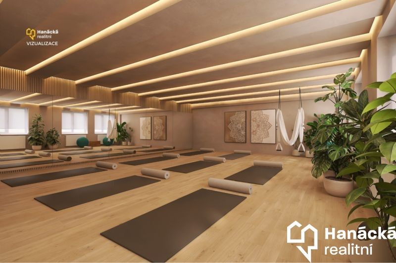 Prodej ostatní - Prostějov, 796 01