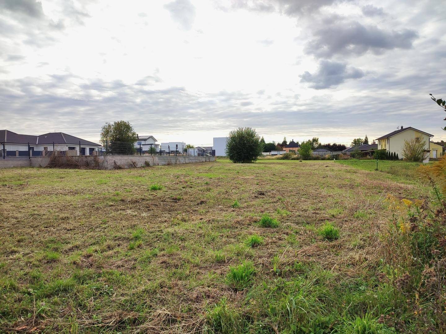 Prodej pozemek pro bydlení - Trnková, Křenice