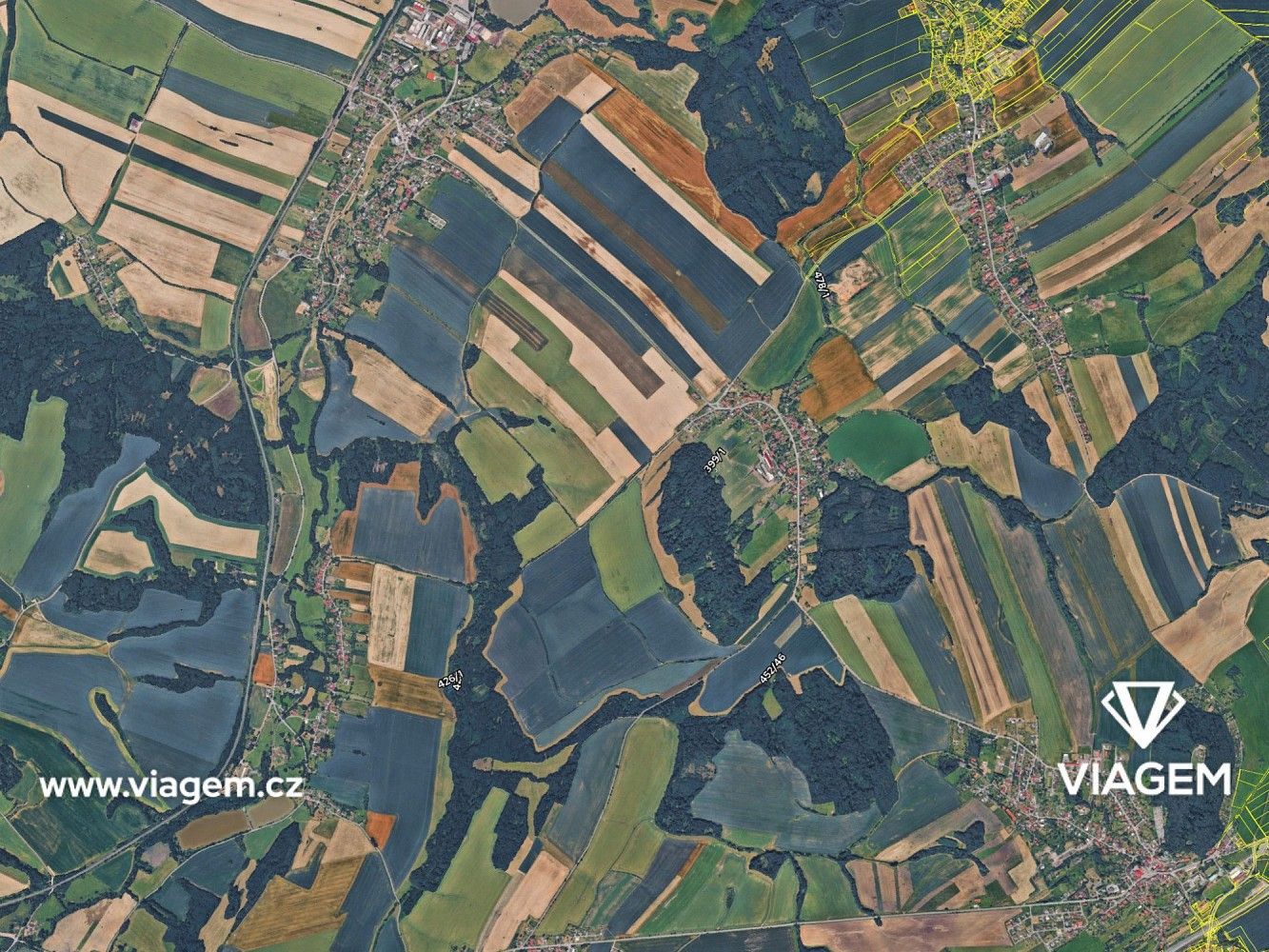 Les · Jeseník nad Odrou, okres Nový Jičín, Moravskoslezský kraj - 4