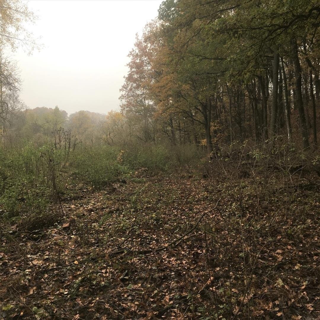 Prodej pozemek pro bydlení - Lindava, 471 58