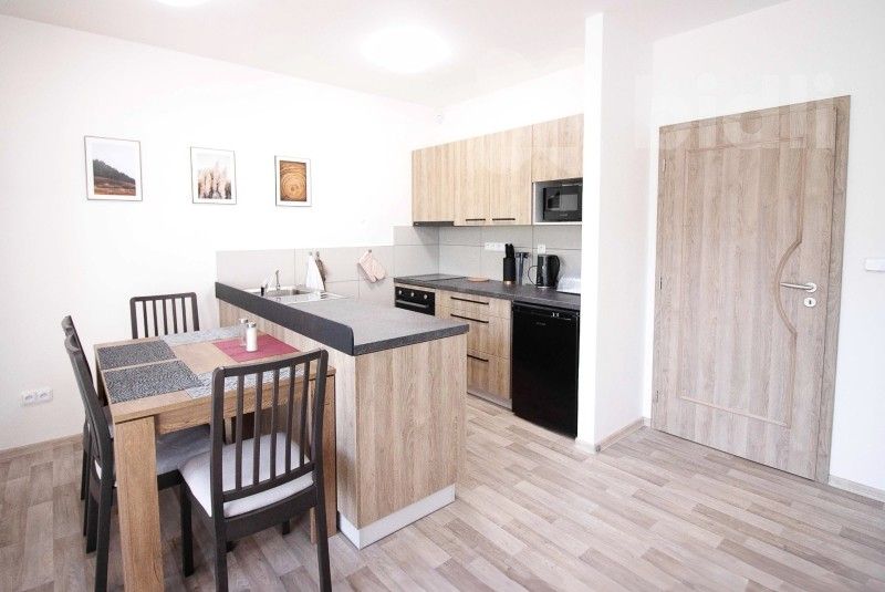 Prodej byt 2+kk - Červená Voda Mlýnický Dvůr, 45 m² - 5