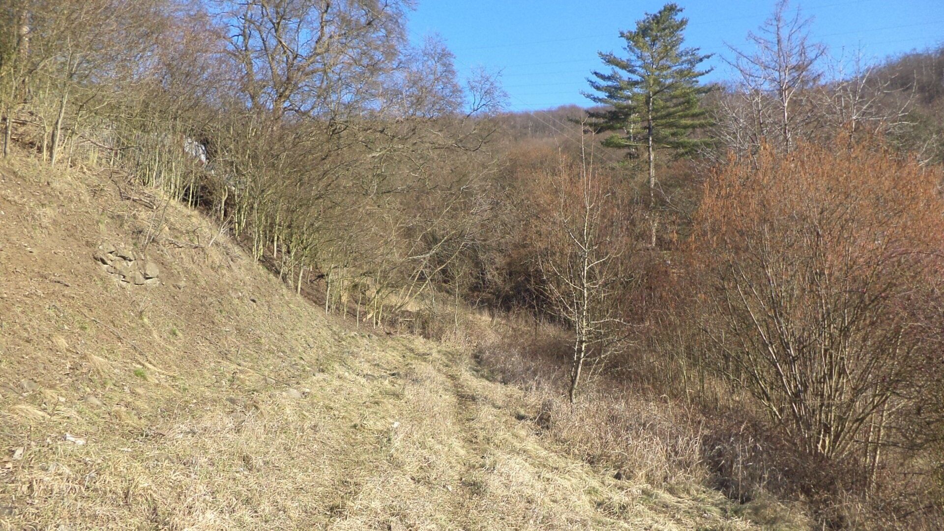 Prodej zahrada - Trmice, 3 m²