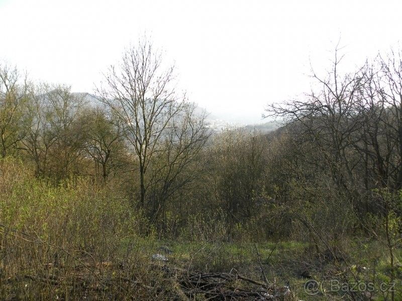Zahrady, Ústí nad Labem, 400 11 - 2