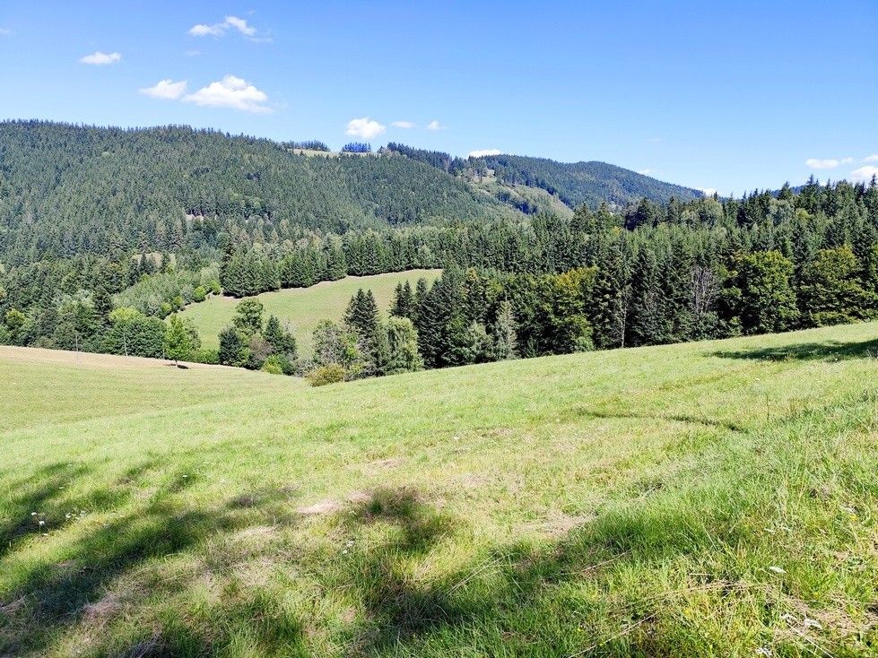 Prodej chata - Halenkov, 756 03