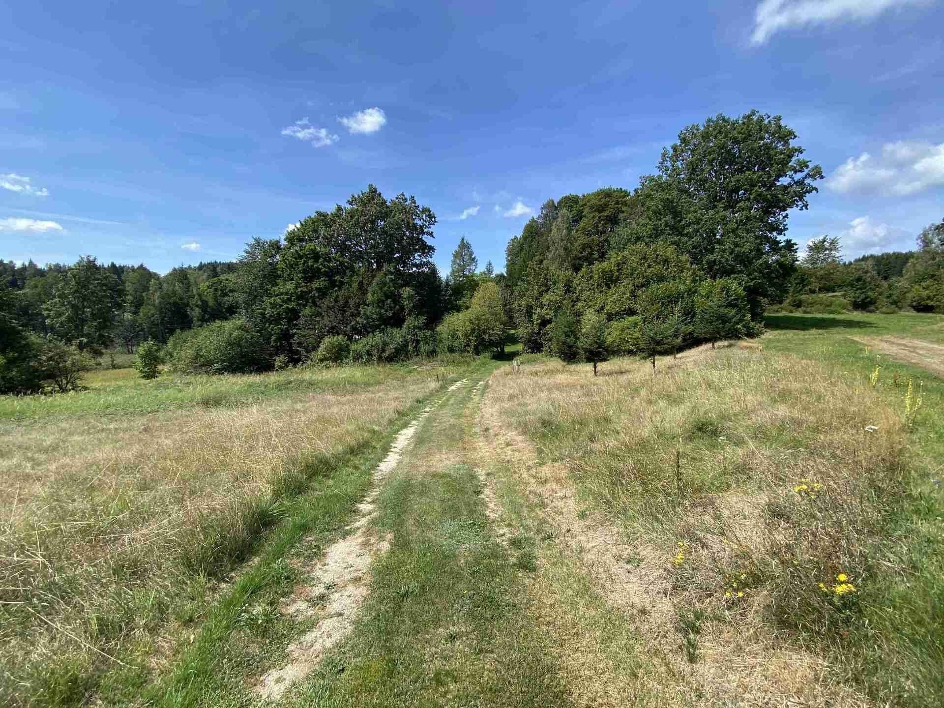 Prodej zahrada - Vitíněves, Staré Město pod Landštejnem, 2 m²