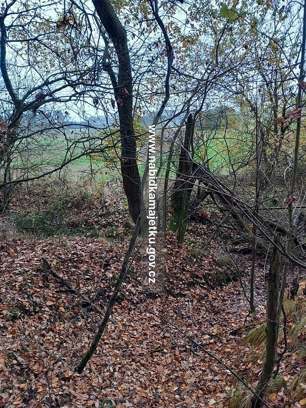 Rybník · Osek, okres Strakonice, Jihočeský kraj - 3