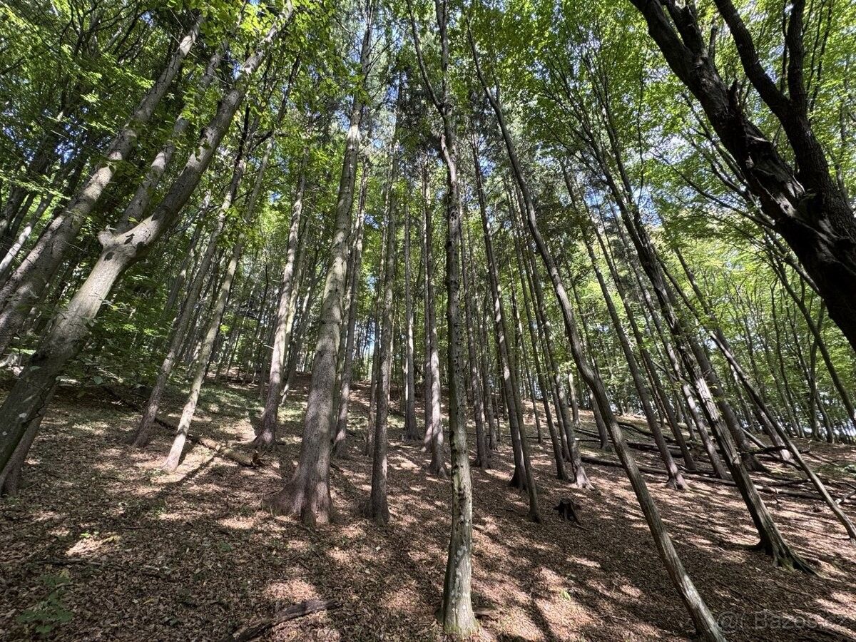 Pozemky pro bydlení, Štítná nad Vláří, 763 33