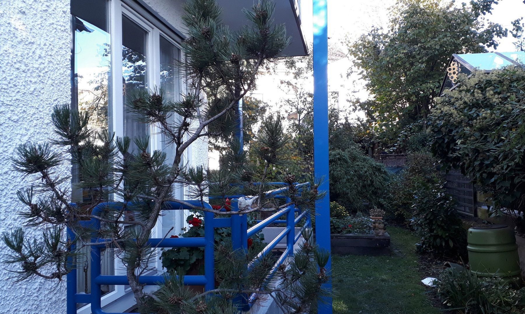 Byt 2+1 · 68 m² · , Severní Porýní-Vestfálsko - 3
