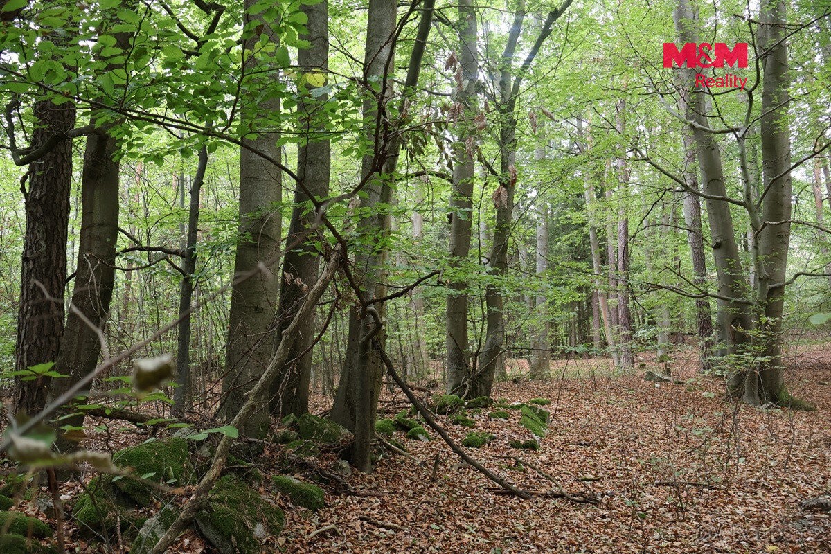 Pozemky pro bydlení, Horažďovice, 341 01 - 2