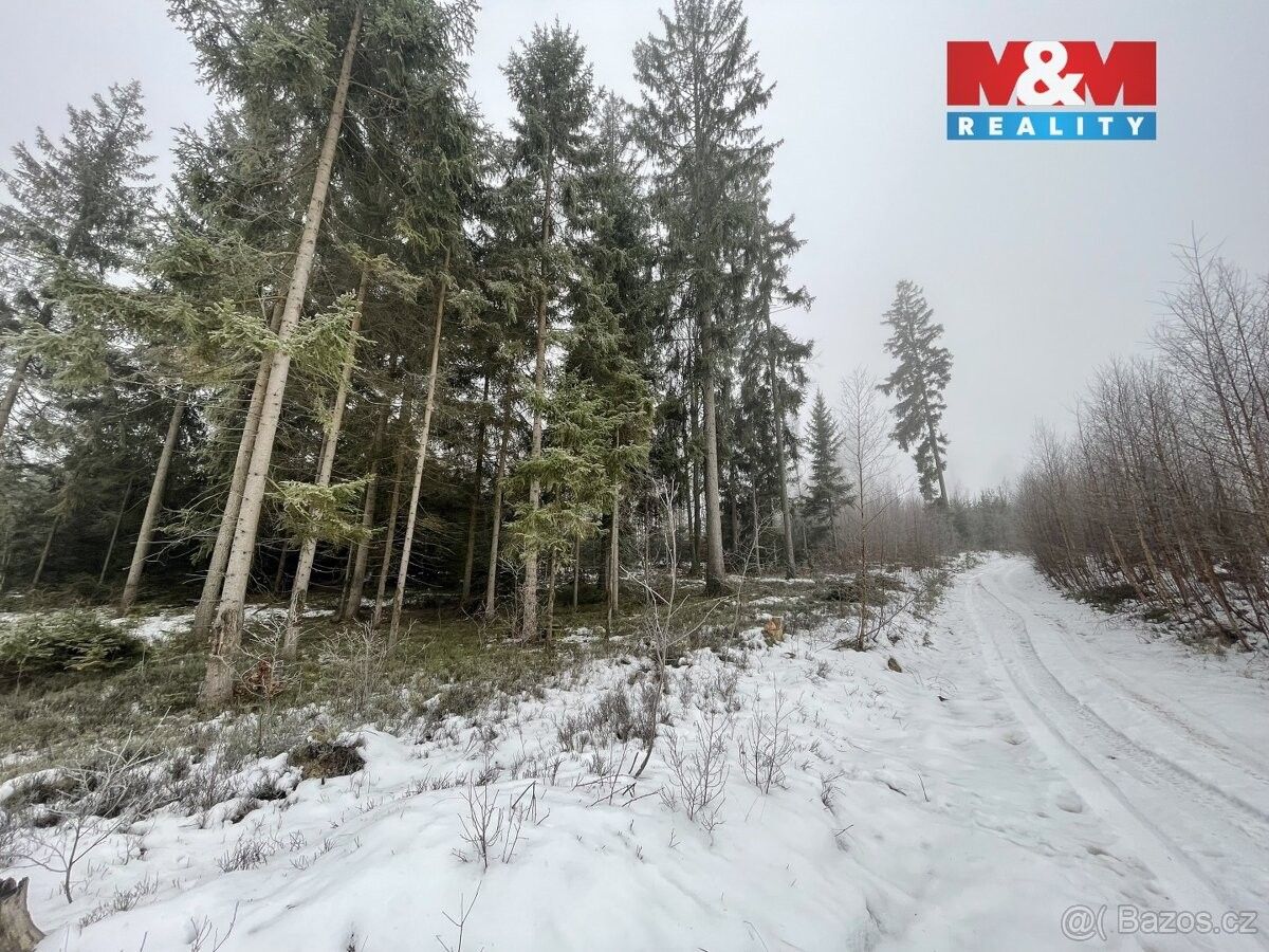 Prodej pozemek pro bydlení - Pecka, 507 82