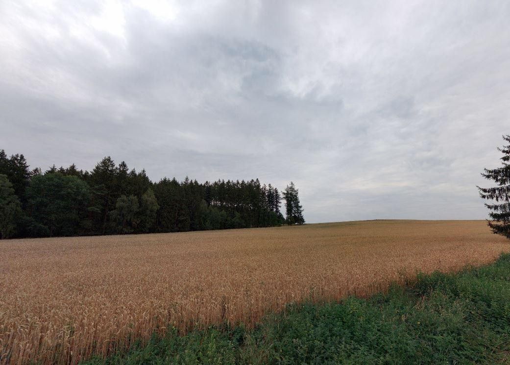 Zemědělské pozemky, Horní Borek, Červený Újezd, 23 308 m²