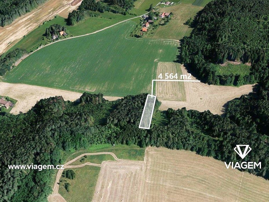 Prodej les - Bílá, okres Liberec, Liberecký kraj - 1