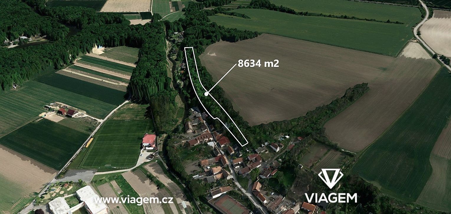 Les · Brozany nad Ohří, okres Litoměřice, Ústecký kraj - 1