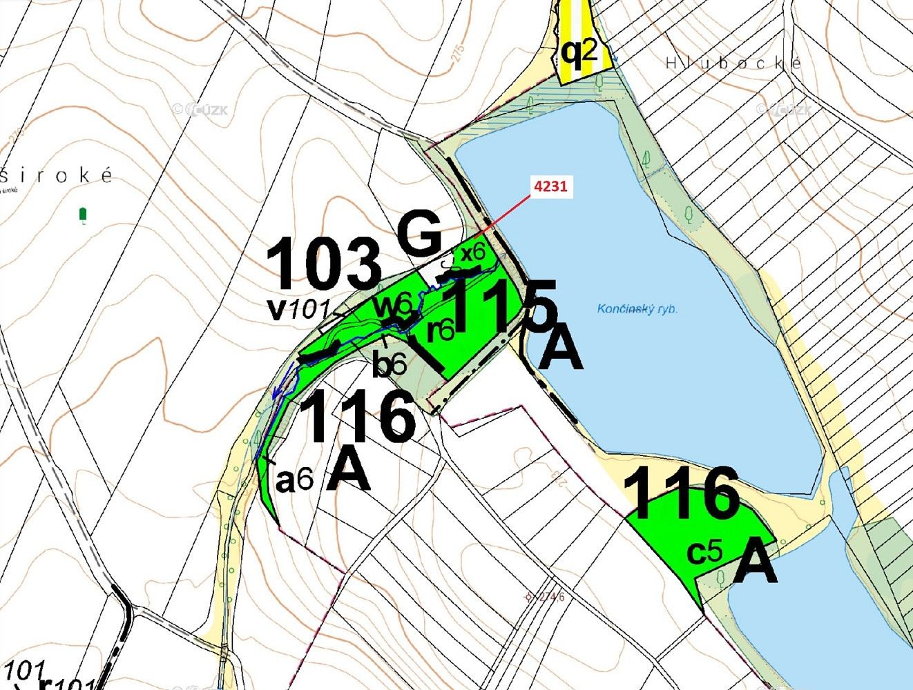 Les · Dobříkov, okres Ústí nad Orlicí, Pardubický kraj - 3
