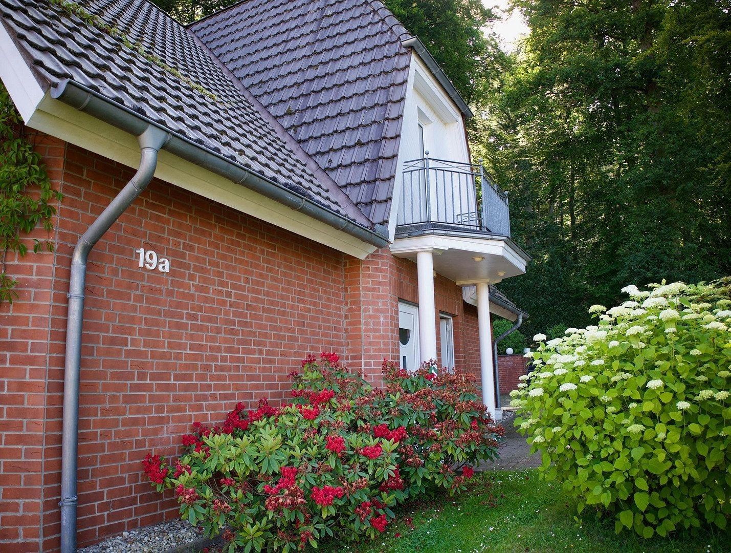 Prodej rodinný dům - Oyler Berg 19A, , Dolní Sasko, 225 m² - 5