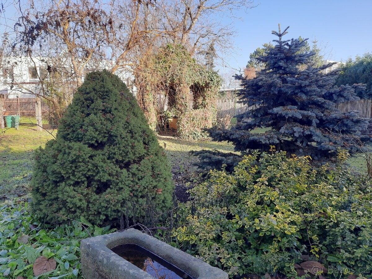 Pronájem byt - Hradec Králové, 500 03