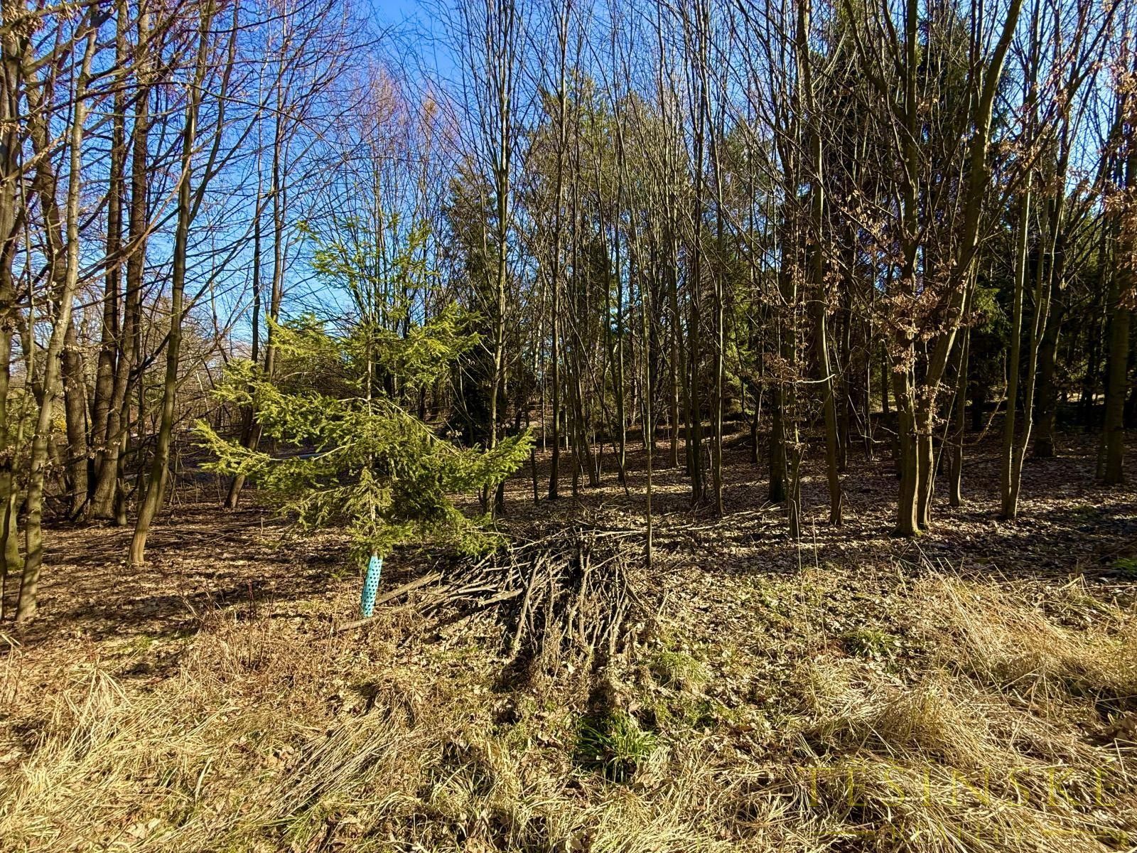Zemědělský pozemek · Chotěbuz - 3