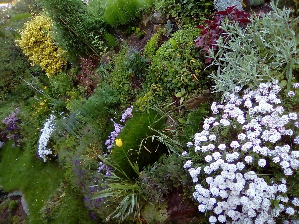 Zahrady, Praha, 130 00