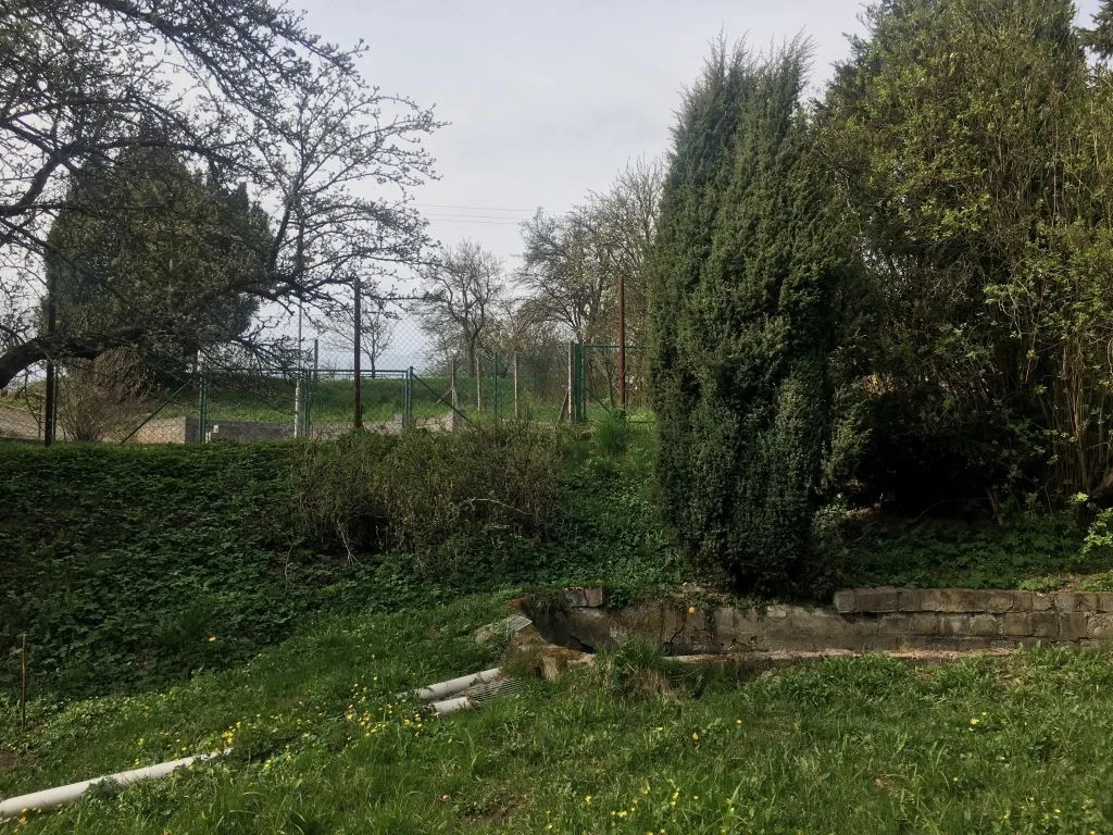 Ostatní