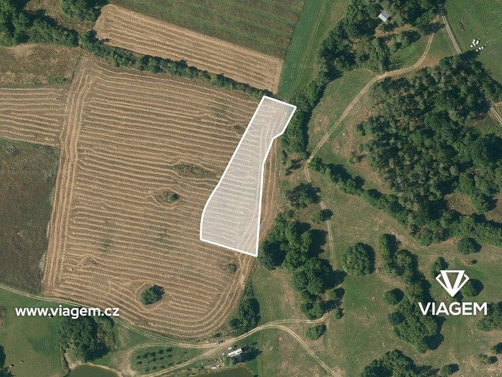 Prodej zemědělský pozemek - Petráveč, okres Žďár nad Sázavou, Kraj Vysočina - 2