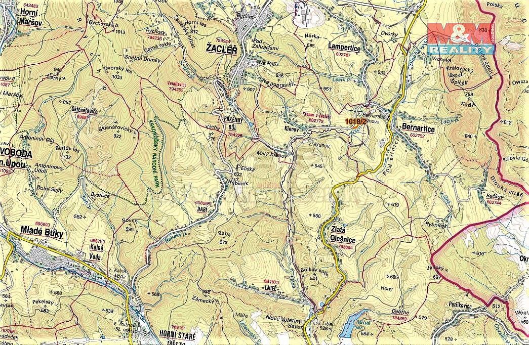 Prodej louka - Bernartice, okres Trutnov, Královéhradecký kraj - 5