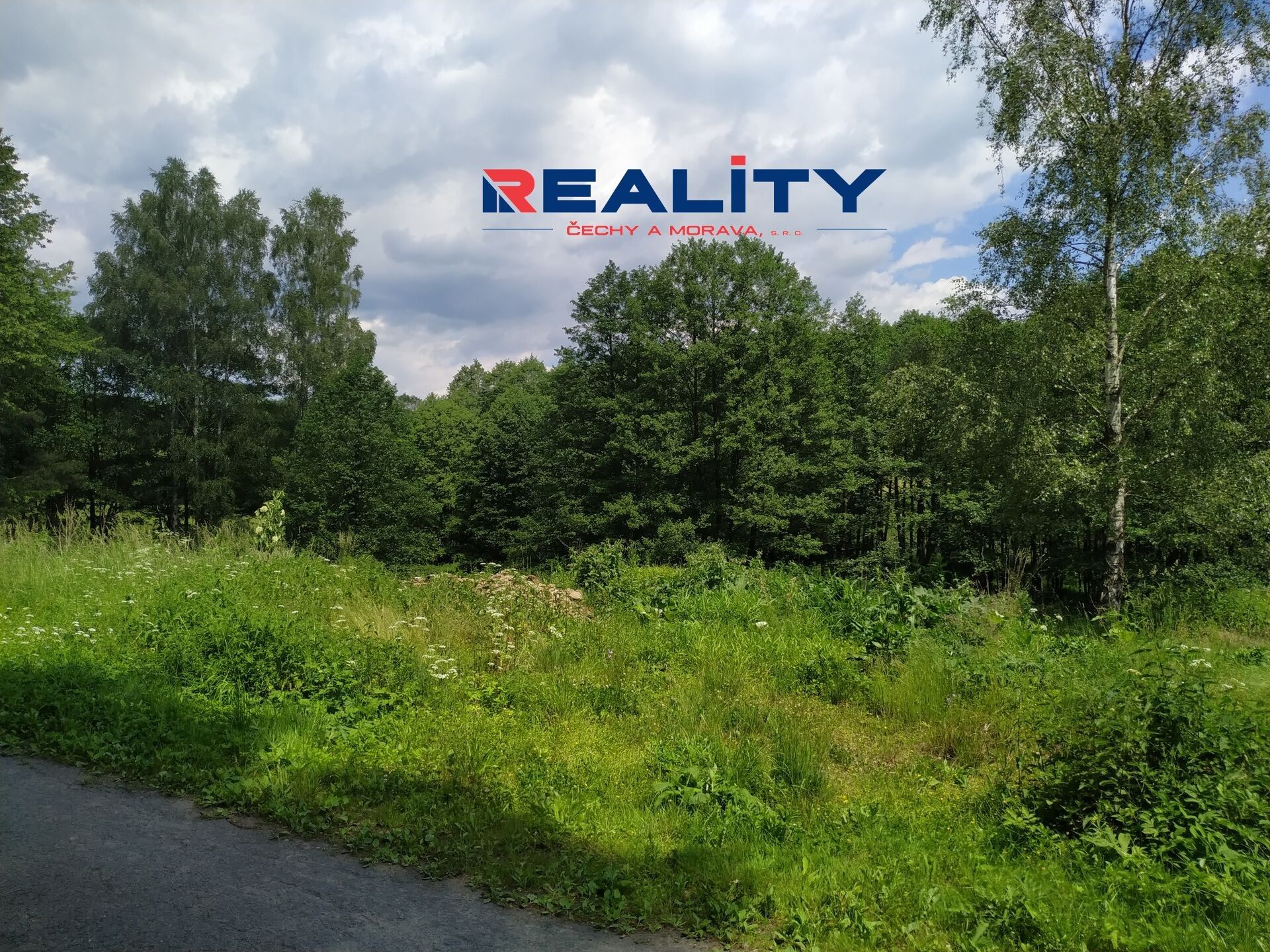 Prodej pozemek - Svojanov, Borušov, 1 m²