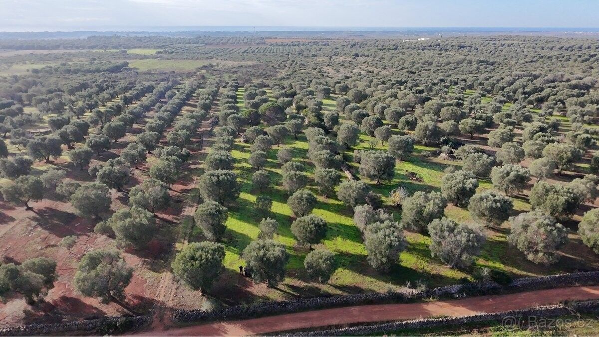 Prodej chata - Hradec Králové, 500 02